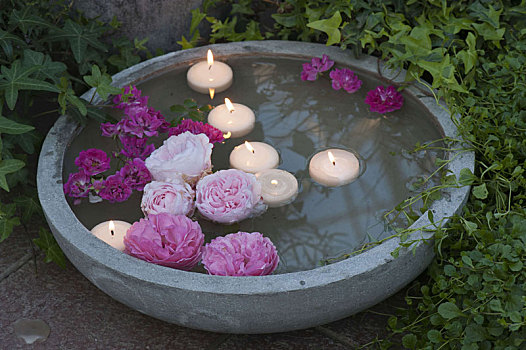 漂浮,花,粉色,玫瑰,浮水蜡烛