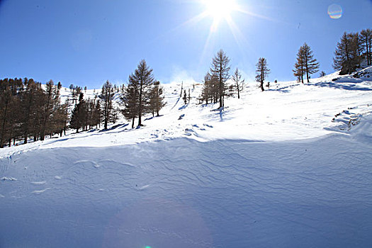 东天山雪韵