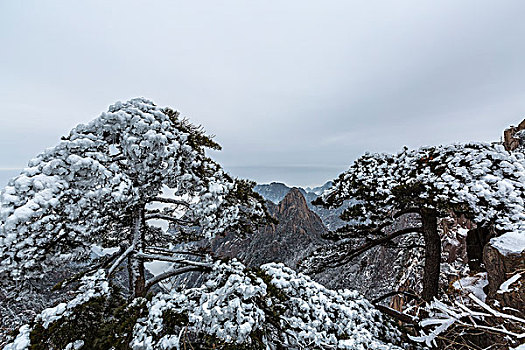 雪后黄山