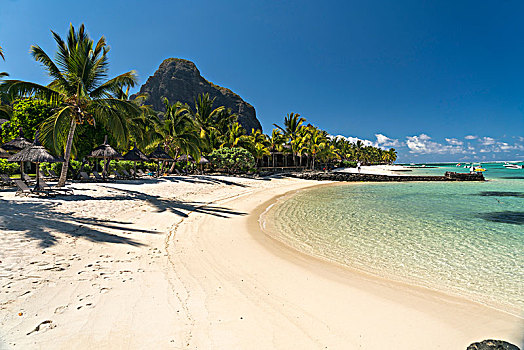 海滩,棕榈树,山,布拉邦山,背景,半岛,黑色,河,毛里求斯,非洲