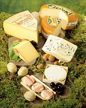 法国,奶酪,林中地面
