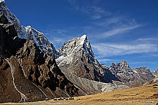 尼泊尔,珠穆朗玛峰,区域,昆布,山谷,牦牛,行李,小路,靠近