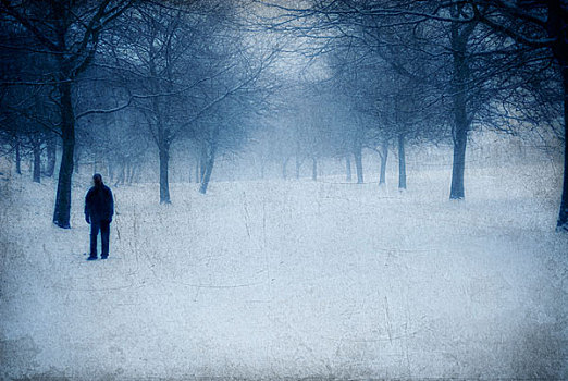 剪影,男人,走,孤单,雪,遮盖,公园,曼彻斯特,英国