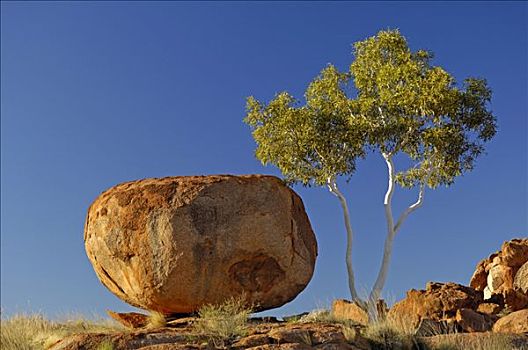 大理石,领土,澳大利亚