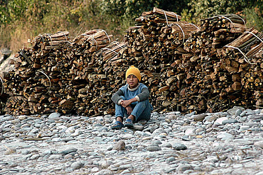 男孩,坐,河岸,河,正面,一堆,木柴,销售,印度,一月,2006年