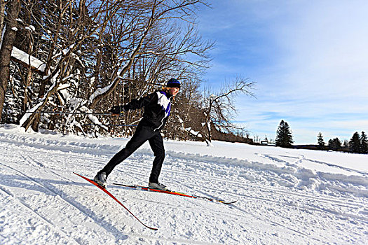 女人,越野滑雪,预留,温莎公爵,马萨诸塞