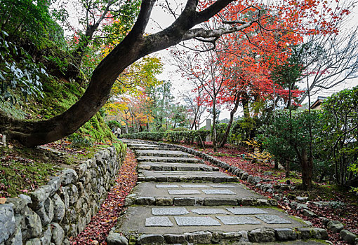 台阶,向上,秋天,彩色,叶子,岚山,京都,日本