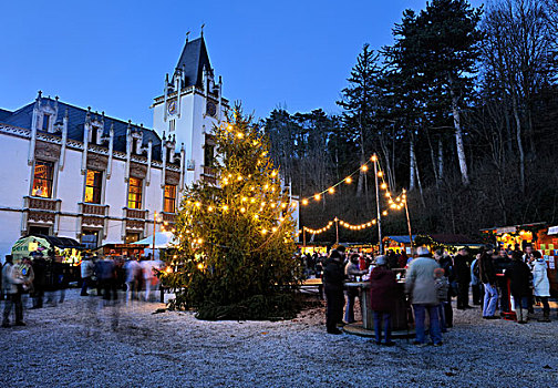圣诞市场,城堡,山谷,下奥地利州,奥地利,欧洲