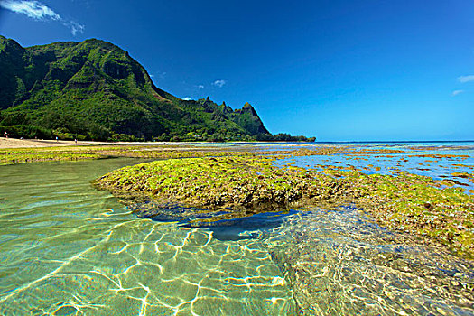 珊瑚,海草,隧道,海滩,退潮,考艾岛,夏威夷,美国