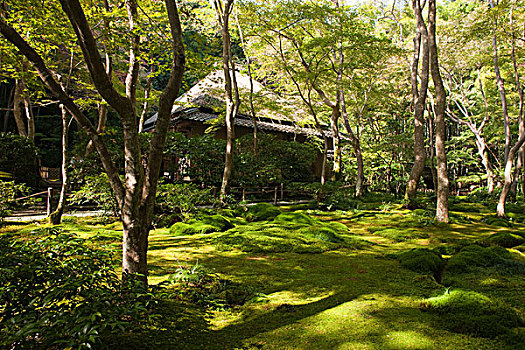 日式庭园,庙宇,京都,日本