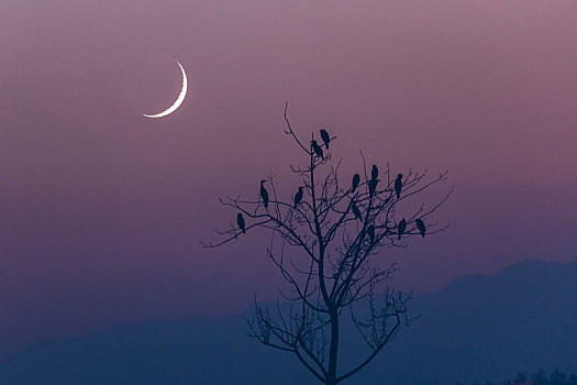 沙湖农场,沙湖景区
