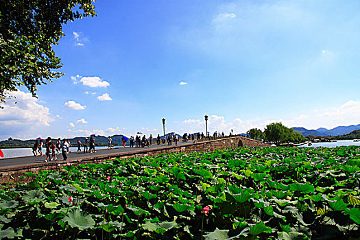杭州西湖城市风光