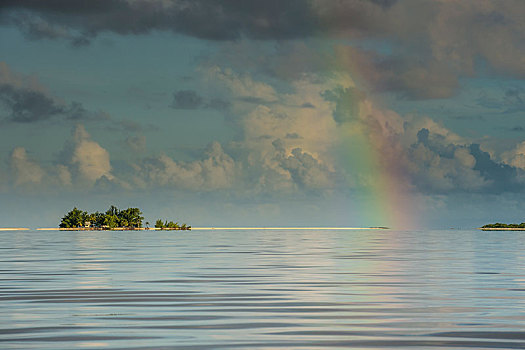彩虹,上方,水,土阿莫土岛,法属玻利尼西亚,大洋洲