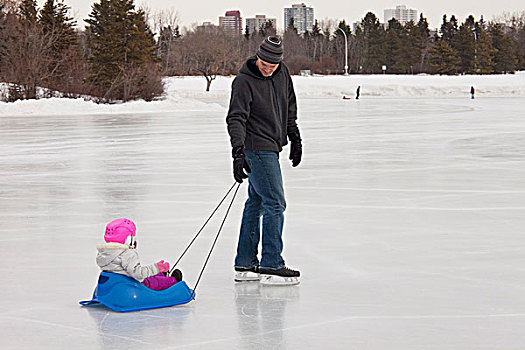 父亲,孩子,女儿,雪撬,上方,户外,滑冰场,艾伯塔省,加拿大