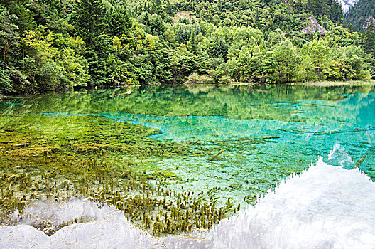 四川九寨沟风光