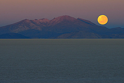 满月,黎明,盐湖,乌尤尼盐沼,波托西地区,玻利维亚,南美
