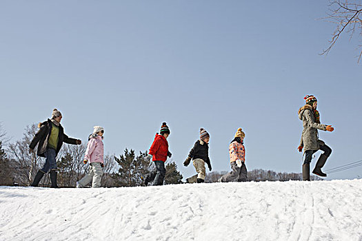 家庭,走,雪原