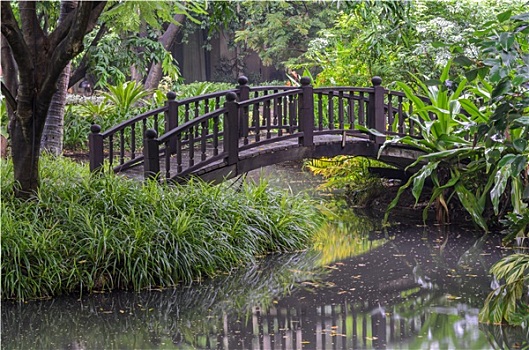 人行天桥,上方,水塘,绿色,花园
