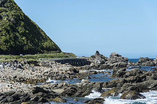新西兰,海滩,岩石