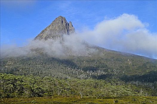晨雾,上升,奥弗兰,摇篮山,国家公园,塔斯马尼亚,澳大利亚