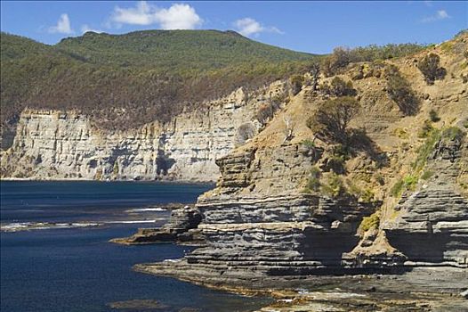 化石,悬崖,玛丽亚,岛屿,国家公园,塔斯马尼亚,澳大利亚