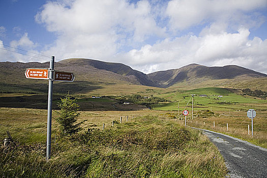 爱尔兰,凯瑞郡,道路,长途,小路,标志牌,仰视,山