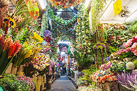 泰国,曼谷,市场,店面展示,假花
