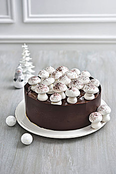 巧克力,蛋白甜饼,蘑菇,圣诞节蛋糕