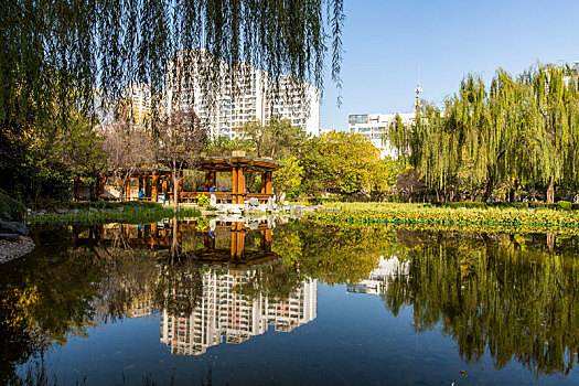 城市秋景