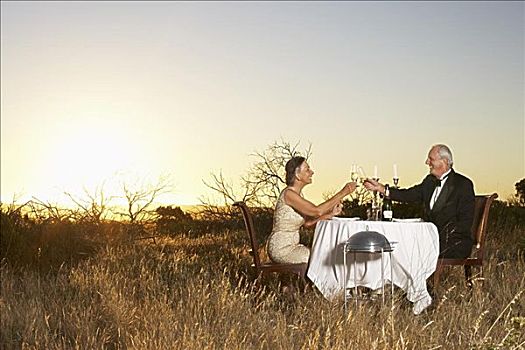 伴侣,就餐,草地,西海角,南非