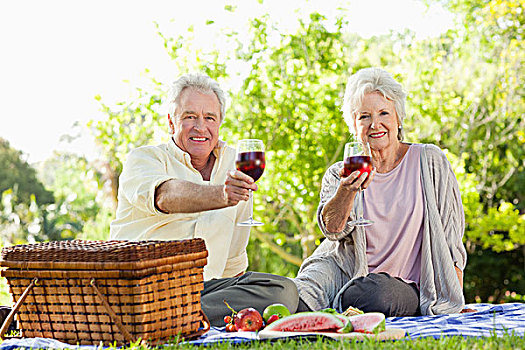 伴侣,拿着,葡萄酒杯,伸展手臂,野餐