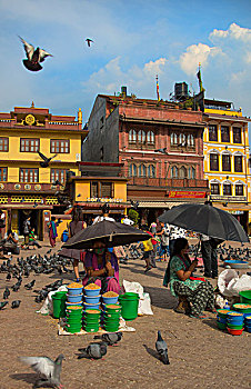 加德满都,尼泊尔,出售,坐,太阳,伞,防护,鸟,成群,博达哈大佛塔,佛塔