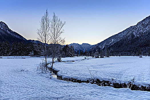日出,阿尔卑斯山,艾塔,德国,巴伐利亚,冬天,雪