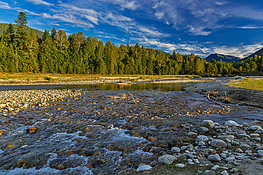 卡里布,溪流,不列顛哥倫比亞省,加拿大