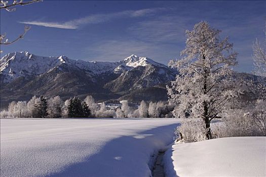 冬天,山峦,巴伐利亚,德国,欧洲