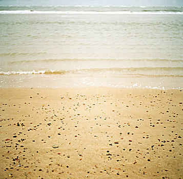 海滩,鹅卵石