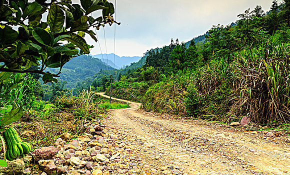 山区道路,平台,汽车,背景