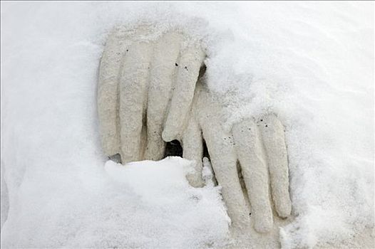 积雪,手,雕塑