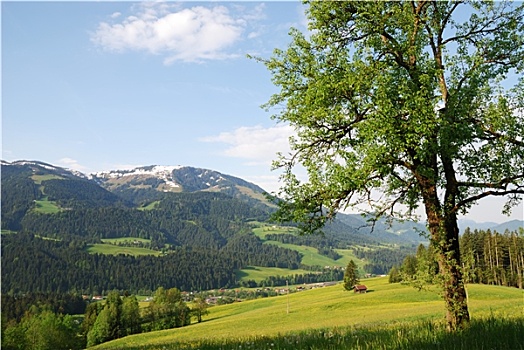 奥地利,阿尔卑斯山