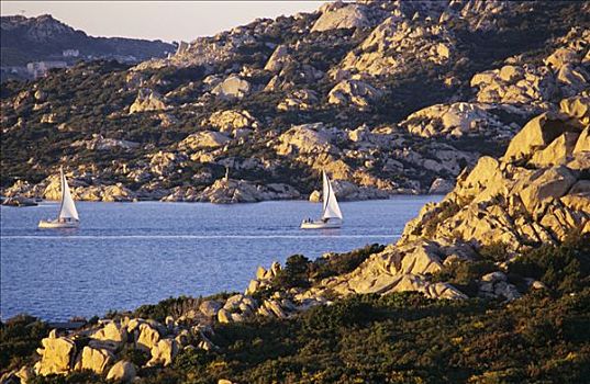 帆船,靠近,贝劳,撒丁岛,意大利