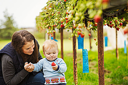 水果,挑选,隧道,母亲,婴儿,男孩,草莓,农作物,平台