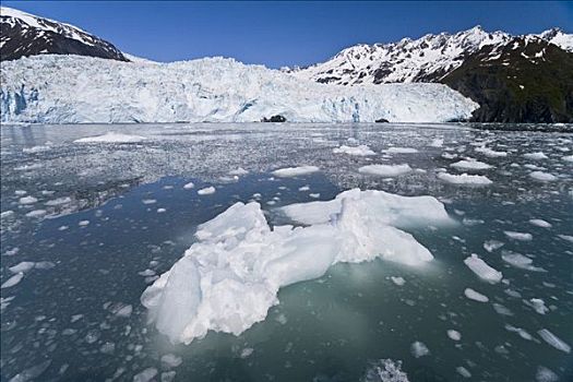 浮冰,冰河,艾阿里克湾,奇奈峡湾国家公园,阿拉斯加