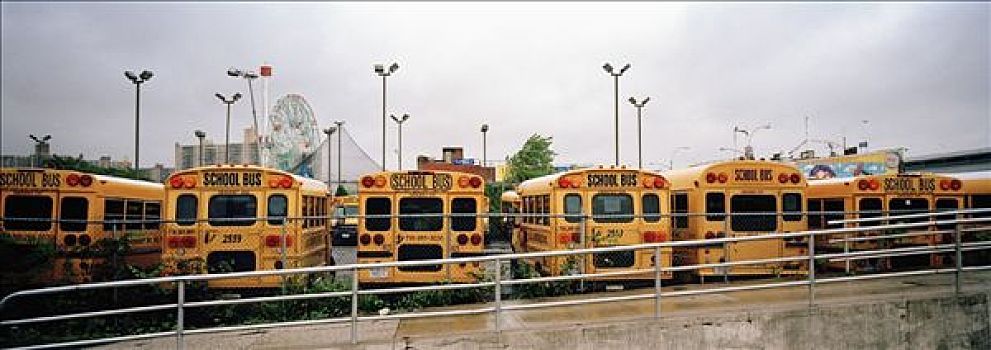 学校,巴士,停车场,康尼岛,纽约,美国