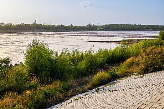 宁夏吴忠市青铜峡市黄河风光