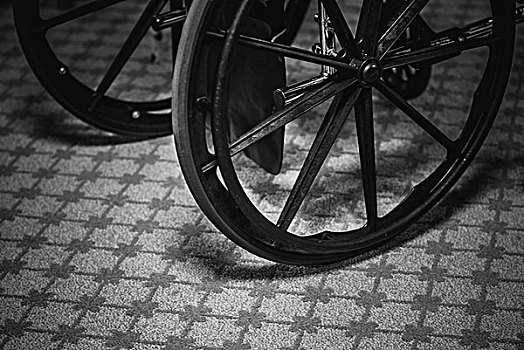 轮椅,轮子,图案,地毯