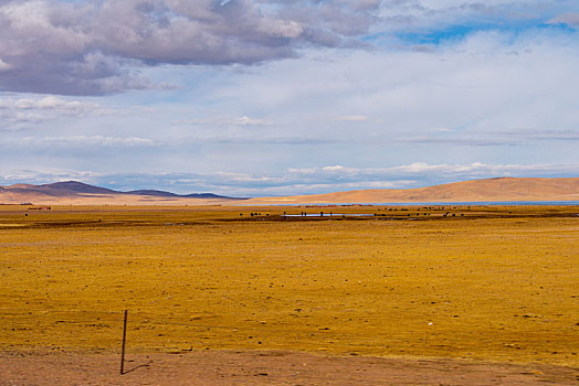 自驾游西藏那曲,路上的高原牧场
