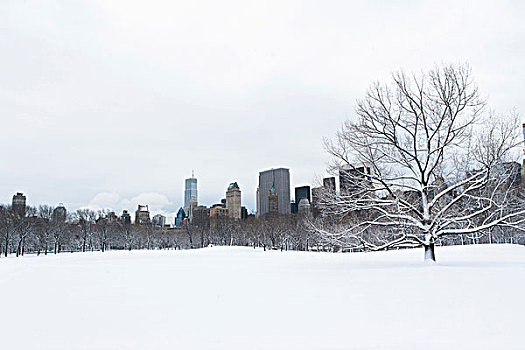 城市天际线,雪,城市公园
