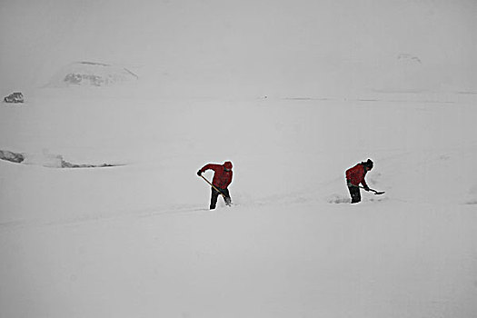 男人,铲,雪,小路,暴风雪,冰岛