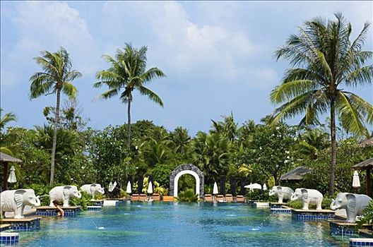 游泳池,棕榈树,苏梅岛,泰国