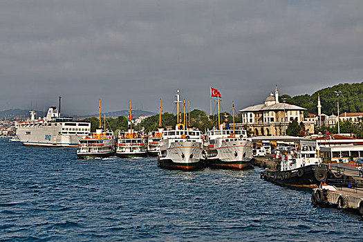 渡轮,博斯普鲁斯海峡,海洋,伊斯坦布尔,土耳其